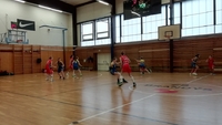U13G Brandýs